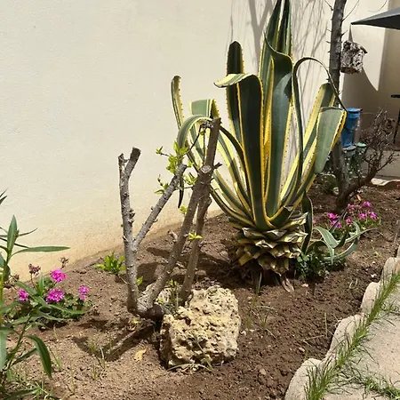 Hébergement de vacances Casa Delia Alghero